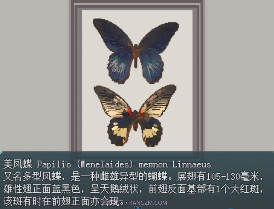 白夜博物馆去更新版截图5 白夜博物馆去更新版截图5