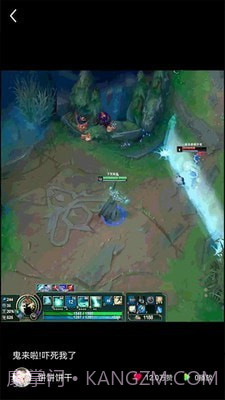 猫咪小视频截图2