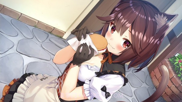 异世界酒馆六重奏截图3 异世界酒馆六重奏截图3