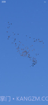 Flocc截图2 Flocc截图2