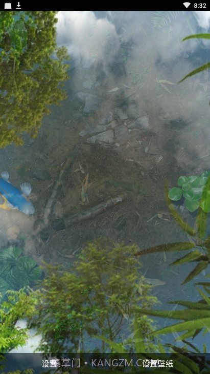 锦鲤鱼池3D动态壁纸（鱼池）截图4