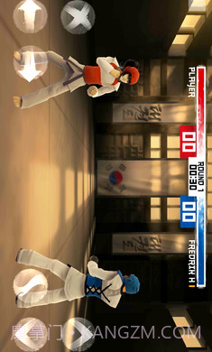 跆拳道大奖赛离线版截图3