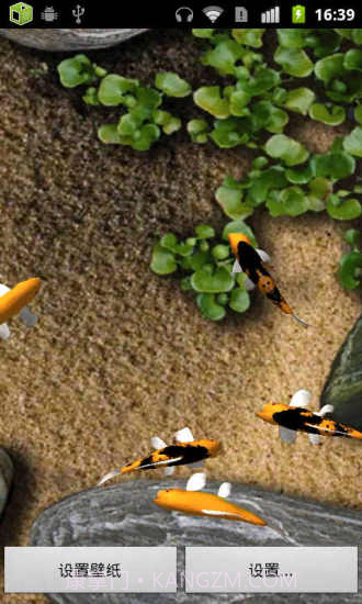 锦鲤动态壁纸截图1 锦鲤动态壁纸截图1