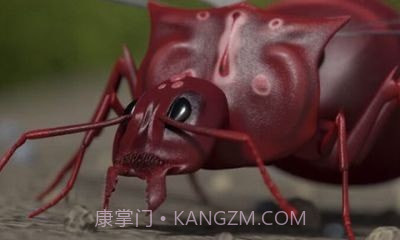 模拟地下蚁国截图3