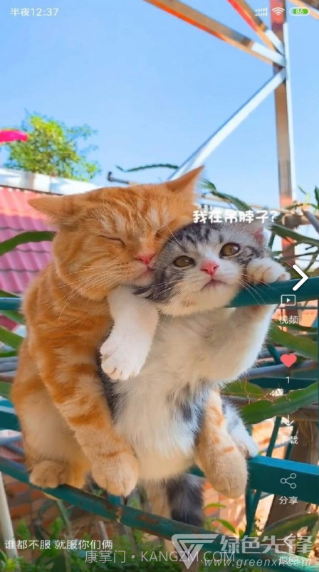 VideoWallpaper(videowallpaper小米)V3.2.3 安卓中文版截图5