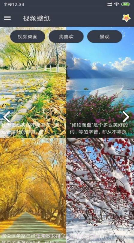 VideoWallpaper(videowallpaper小米)V3.2.3 安卓中文版截图3