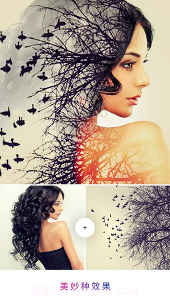 photolab官网版截图1