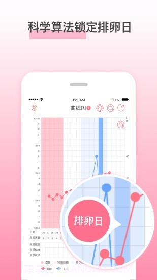 孕橙截图2 孕橙截图2