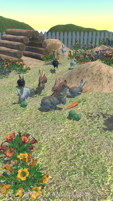 兔子朋友截图2 兔子朋友截图2