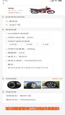 大力大司机版截图2