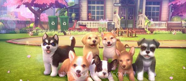 元气小狗app截图1 元气小狗app截图1