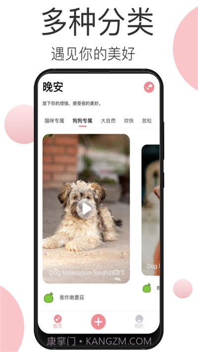 宠物音乐截图3 宠物音乐截图3