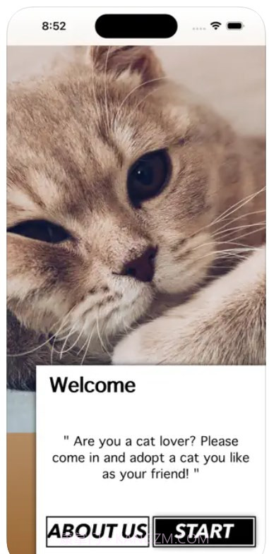 爱猫物语宠物店2023版截图3 爱猫物语宠物店2023版截图3