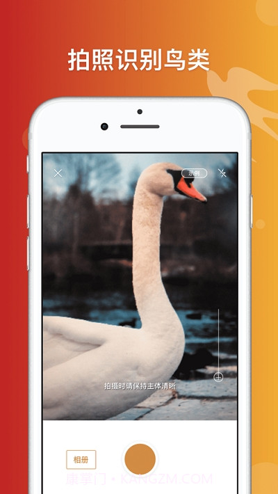 形色识鸟截图3 形色识鸟截图3