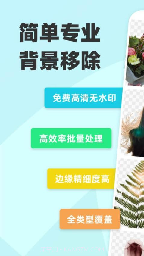 椰子设计定制版截图2