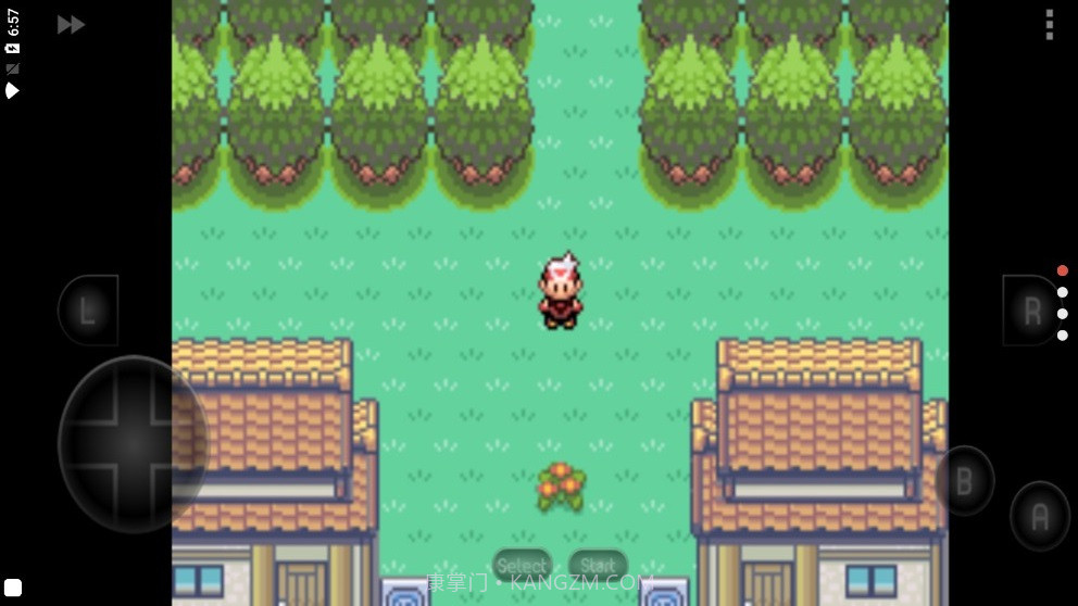 口袋妖怪漆黑的魅影5截图3