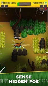 稀树草原捉迷藏截图3 稀树草原捉迷藏截图3