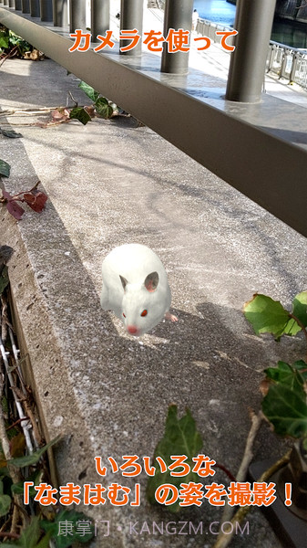 云仓鼠手机版截图4 云仓鼠手机版截图4