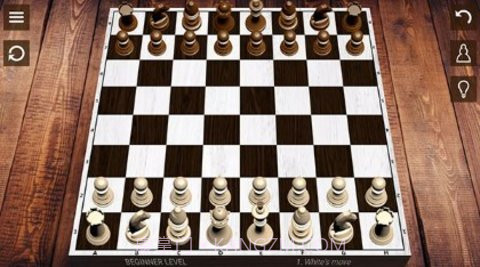 国际象棋(Chess)截图3 国际象棋(Chess)截图3