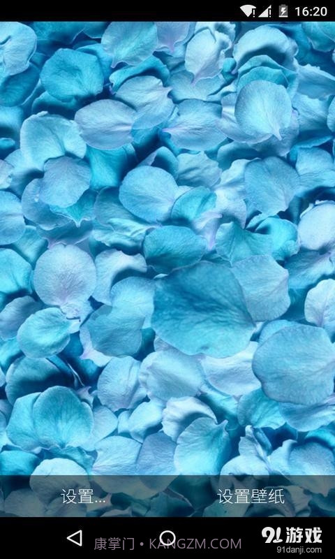 3D落花海:梦象动态壁纸截图3 3D落花海:梦象动态壁纸截图3