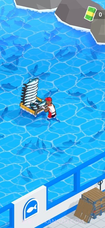 抓鱼出售截图2 抓鱼出售截图2