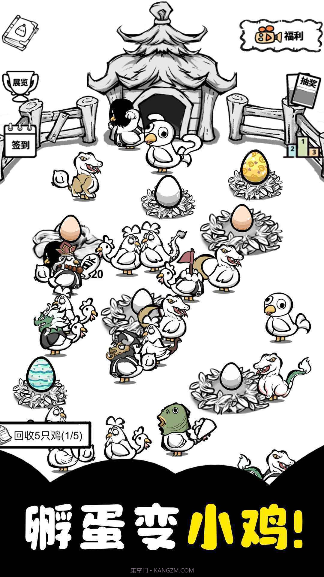 养鸡时长两年半截图3