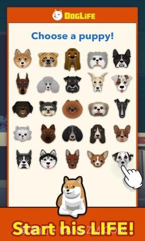 狗狗的一生截图3