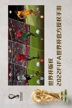 FIFA2003中文版截图1