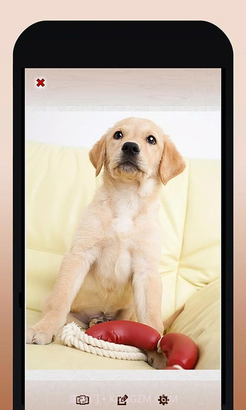 修狗翻译模拟器截图5 修狗翻译模拟器截图5