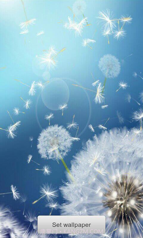 恋上蒲公英梦象动态壁纸安卓V1.2.11 中文版截图3 恋上蒲公英梦象动态壁纸安卓V1.2.11 中文版截图3