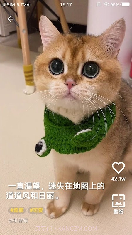 豹壁纸截图2 豹壁纸截图2