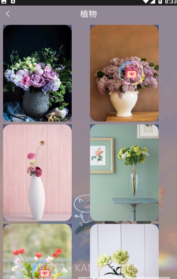 元气可爱壁纸截图3