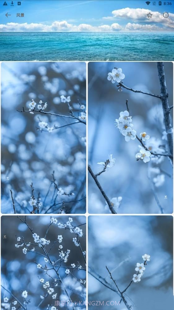 wall壁纸截图5 wall壁纸截图5