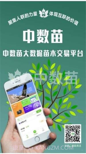 中数苗截图2 中数苗截图2