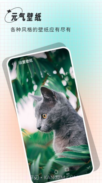 小鲸鱼壁纸截图3