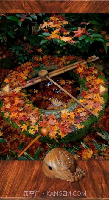 wooden fish截图3 wooden fish截图3