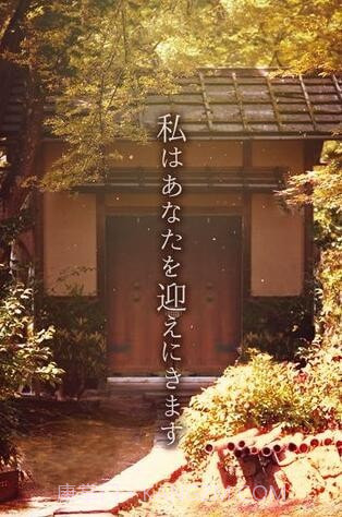 逃离樱花节截图4 逃离樱花节截图4