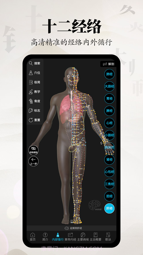 针灸大师截图1