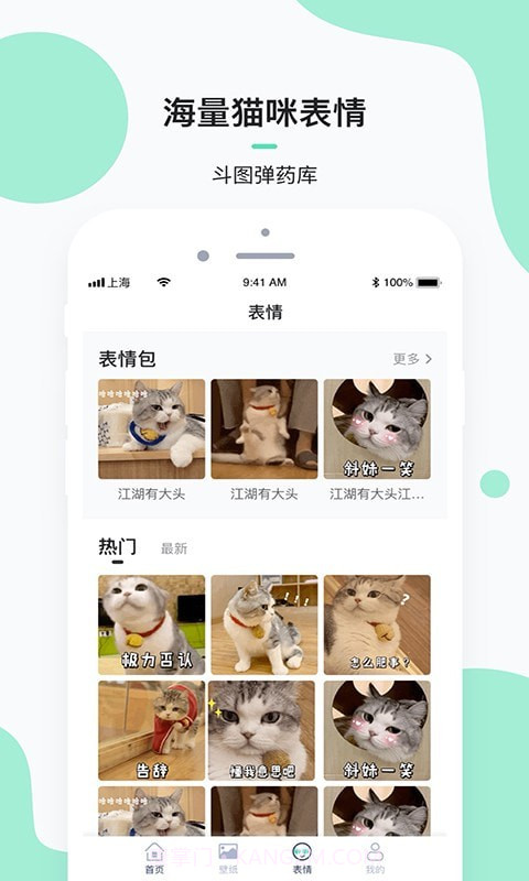 每日一猫截图3 每日一猫截图3