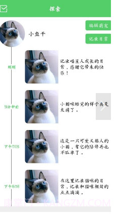 猫咪之家截图3