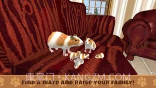 养豚鼠进化模拟器截图3