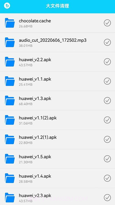 强力清理大师截图3