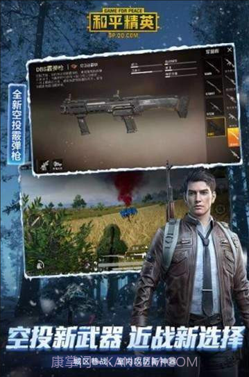 和平精英智障框架截图2 和平精英智障框架截图2