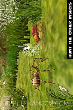 终极蜘蛛模拟器手机版截图1 终极蜘蛛模拟器手机版截图1