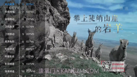 新喵影视2025最新版截图2