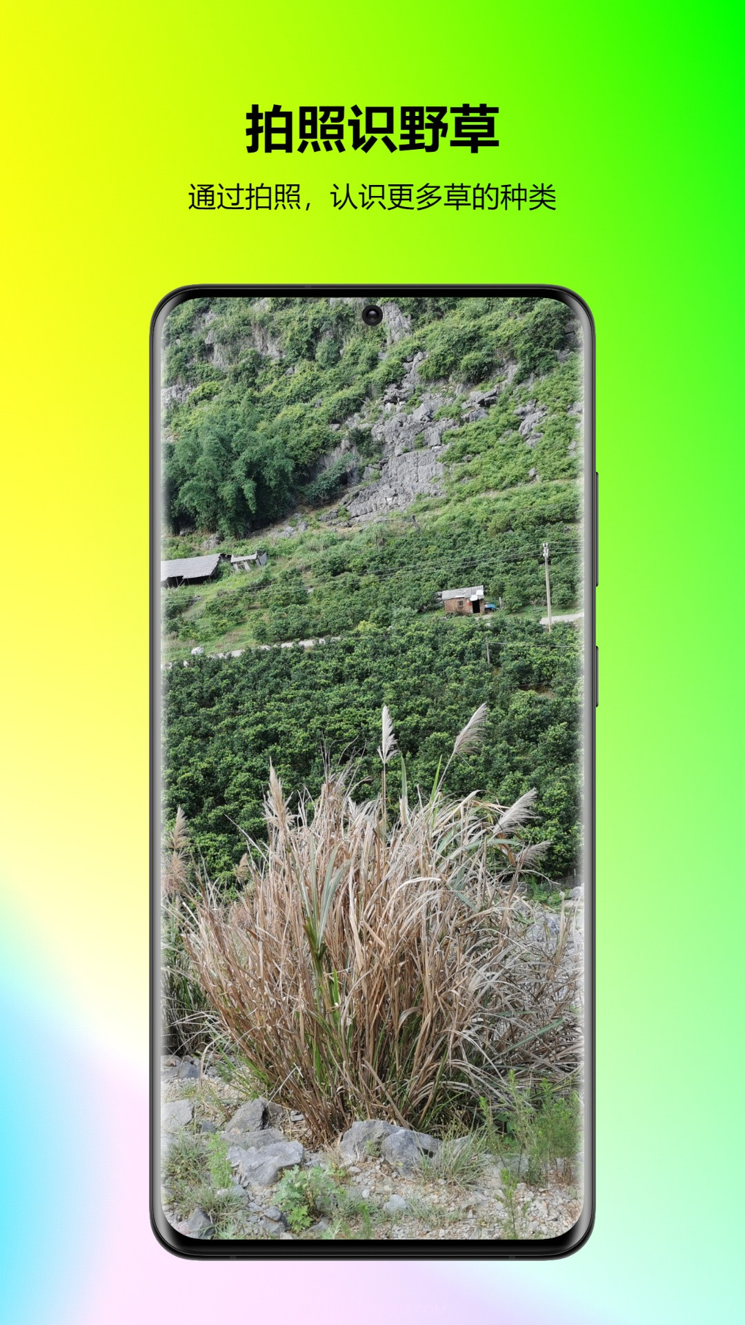 万能拍照识花免费截图4