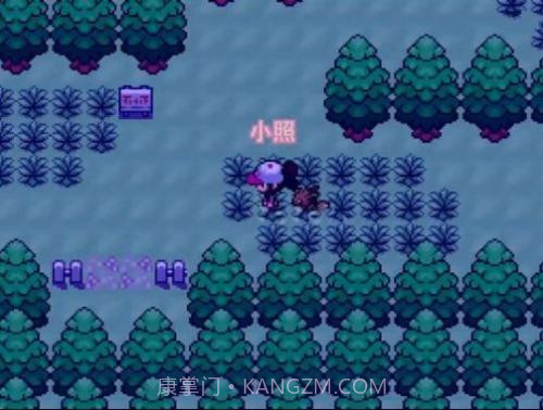 口袋妖怪零维e界截图2 口袋妖怪零维e界截图2