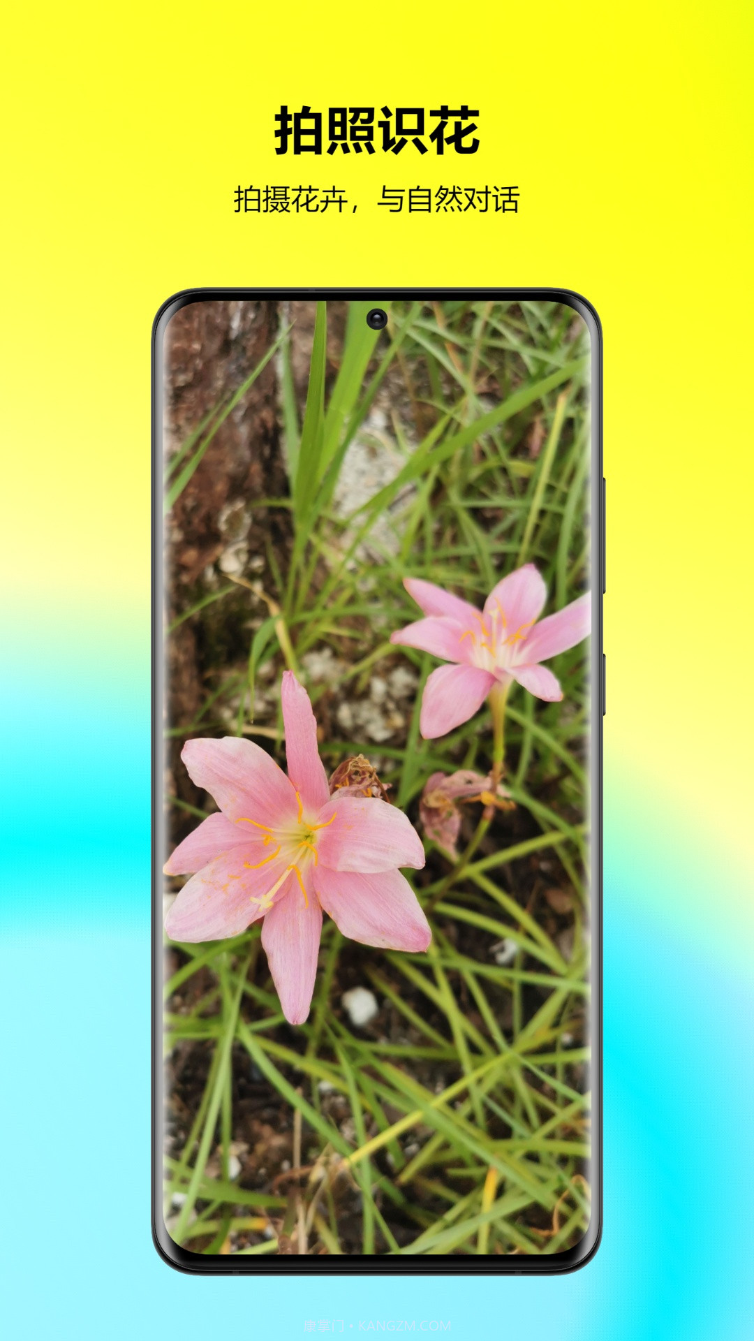 万能拍照识花免费截图3
