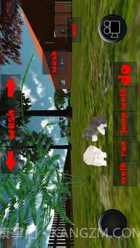 小猫模拟器截图5