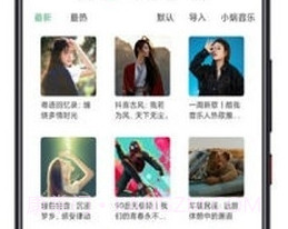 LXMusic截图3